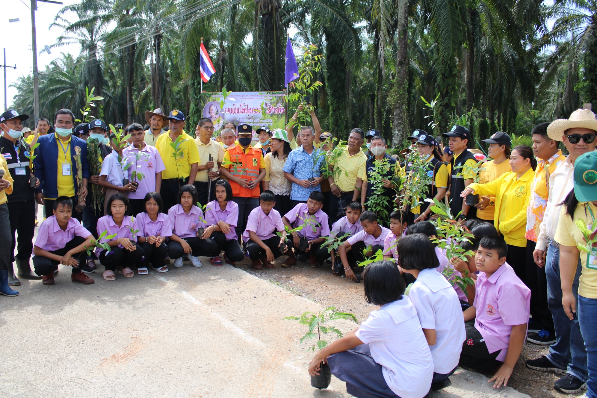 โครงการ 1 ตำบล 1 ถนนกินได้